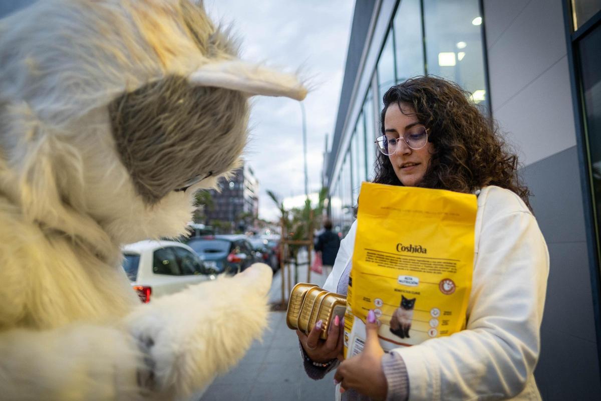 Una vecina compra comida para Miaumorcito.