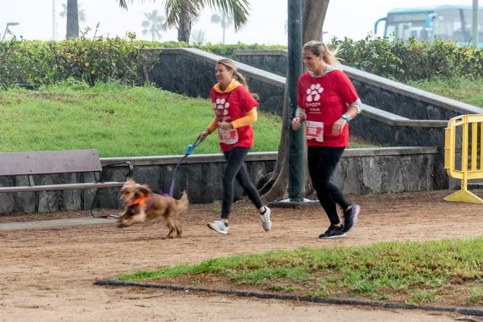 La Doggie Race, vista por José Fco. Fernández Belda