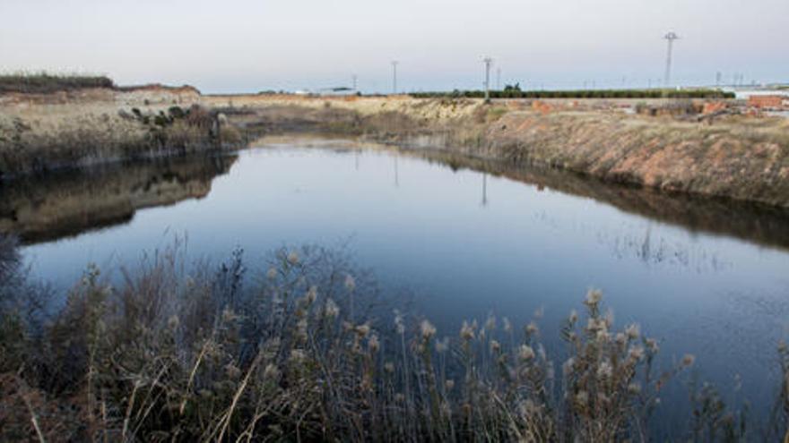 Picassent descubre su Albufera