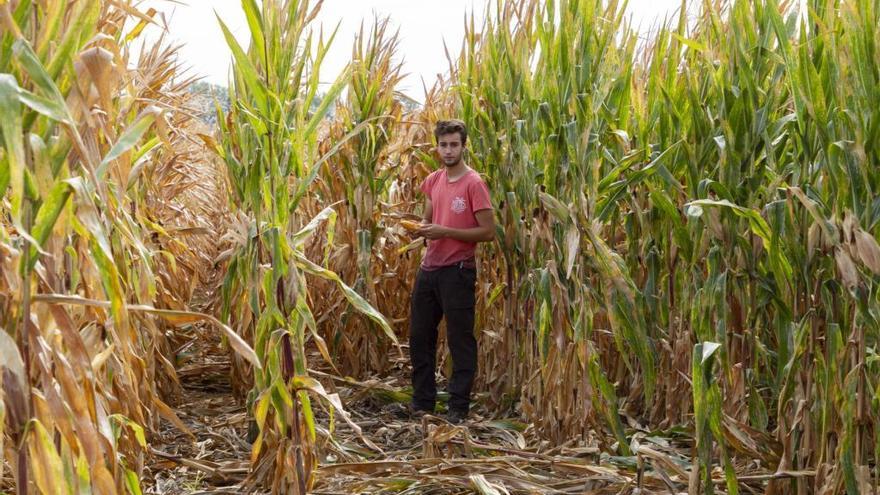 Un agricultor de maíz.