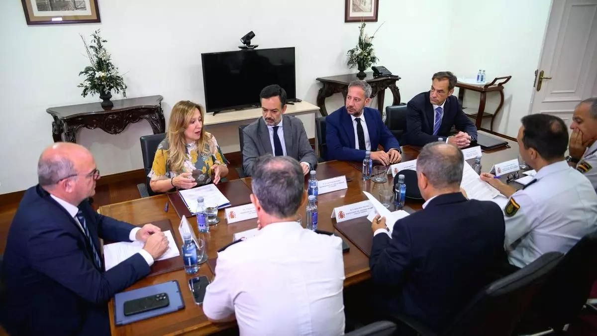 Reunión entre el Cabildo, la Delegación de Gobierno, Policía Nacional y Aena