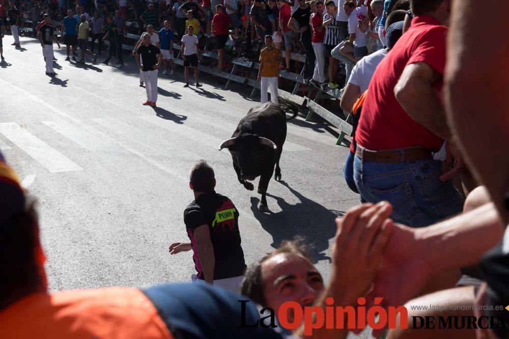 Primer encierro de Calasparra