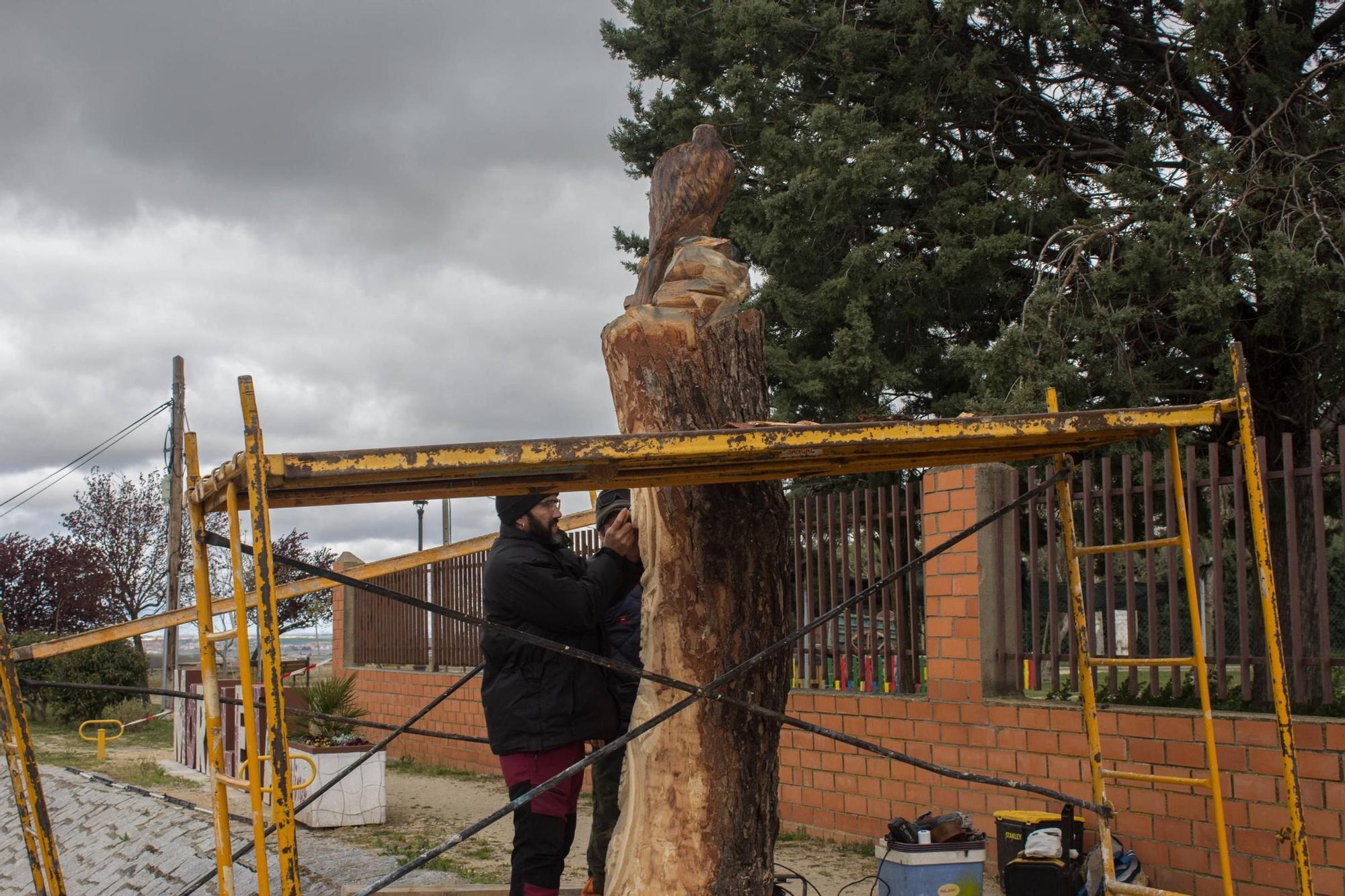 GALERÍA | El árbol de Moraleja que se convirtió en estatua