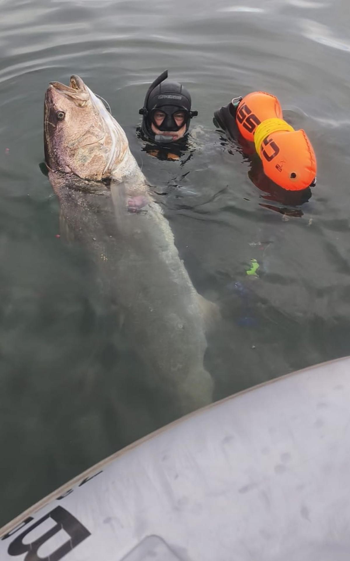 Avelino Alonso, tras lograr sacar a la superficie a la enorme corvina que capturó frente a Gijón.