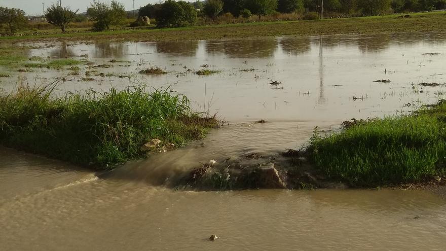 Se desborda el torrent del Puig Moltó en Montuïri