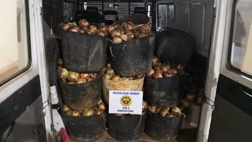 Canastos de cebollas incautadas durante la operaicón.