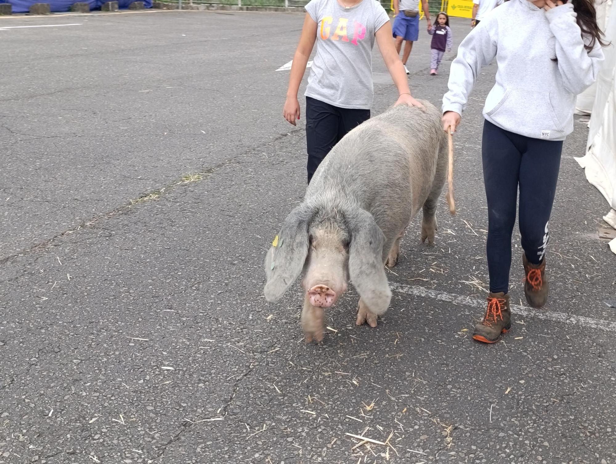 Arranca Agrosiero en La Pola