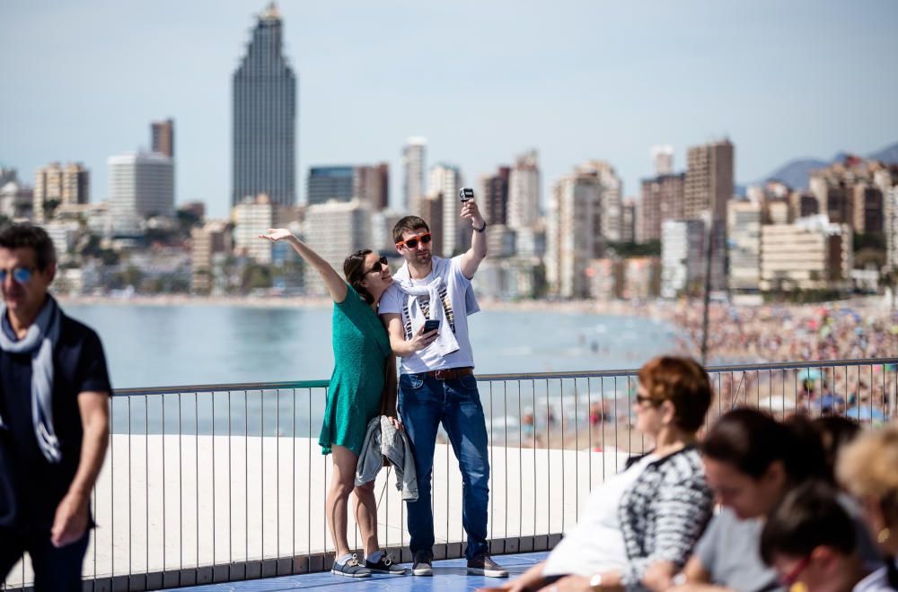 El "Día de La Mona" congrega a más de 125 peñas y 3.000 festeros en Benidorm.