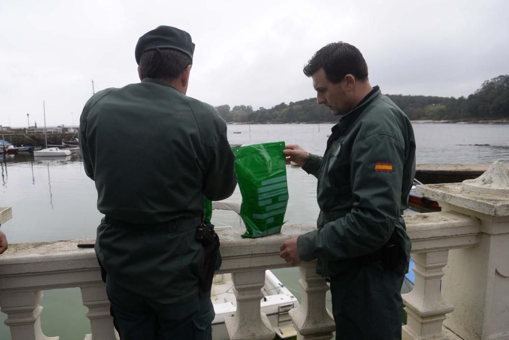 Gran mancha verde en el mar de Carril