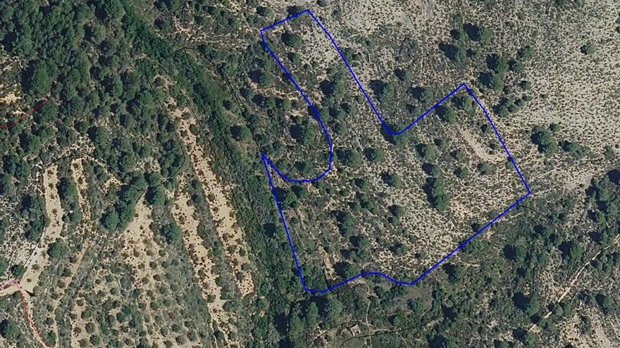 Salen a subasta 12 fincas desde 33 euros en 6 municipios de la Canal y la Vall