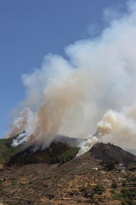 Incendio en Artenara (Gran Canaria)