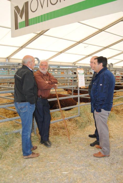 Segona jornada de la Fira de Sant Isidre a Solsona