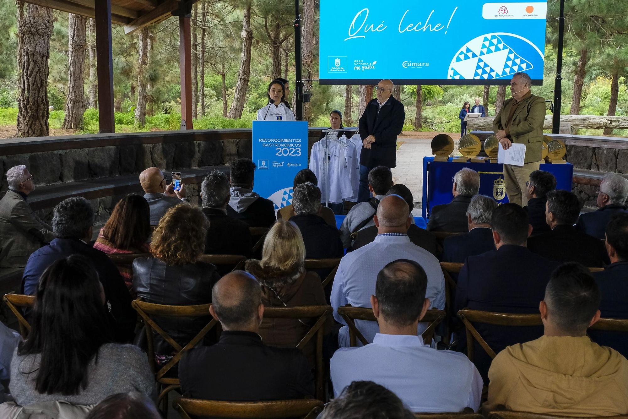 El Cabildo de Gran Canaria homenajea a los galardonados con las Guías Michelin y Repsol 2023