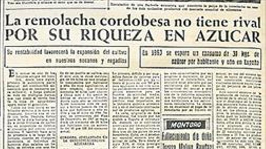 Hace 50 años Viernes, 25 de septiembre de 1966 La remolacha cordobesa es la más rica en azúcar