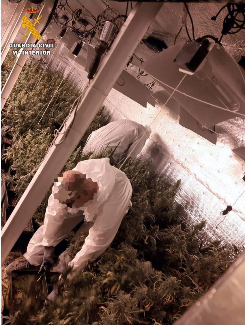 Cinco arrestados en Zaragoza en una redada contra el cultivo ‘indoor’ de marihuana