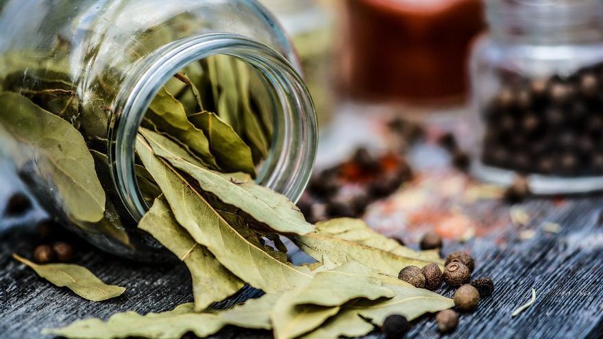 El motivo por el que (si no lo haces) deberías echarle una hoja de laurel a la lavadora