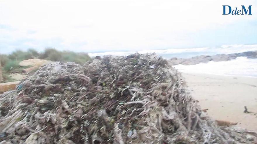 Sturm "Ana" füllt Palmas Strände mit Plastik