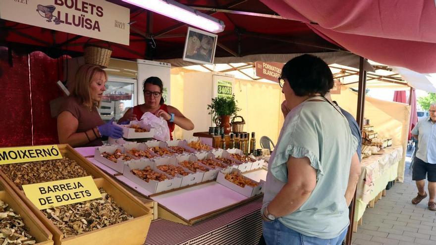 La calor i la manca de pluges de l'estiu endarrereixen la temporada boletaire amb produccions mínimes al Pirineu