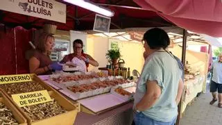 La calor i la manca de pluges de l'estiu endarrereixen la temporada boletaire amb produccions mínimes al Pirineu