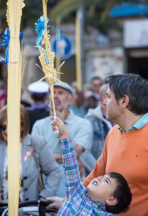 Las calles de Alicante se llenan de fieles en las procesiones del Domingo de Ramos