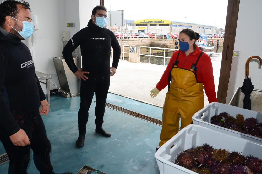 La primera jornada concluyó con unas capturas conjuntas de unos 800 kilos. / G. Núñez