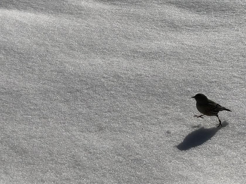 Paisatge de fred i restes de neu a Montserrat