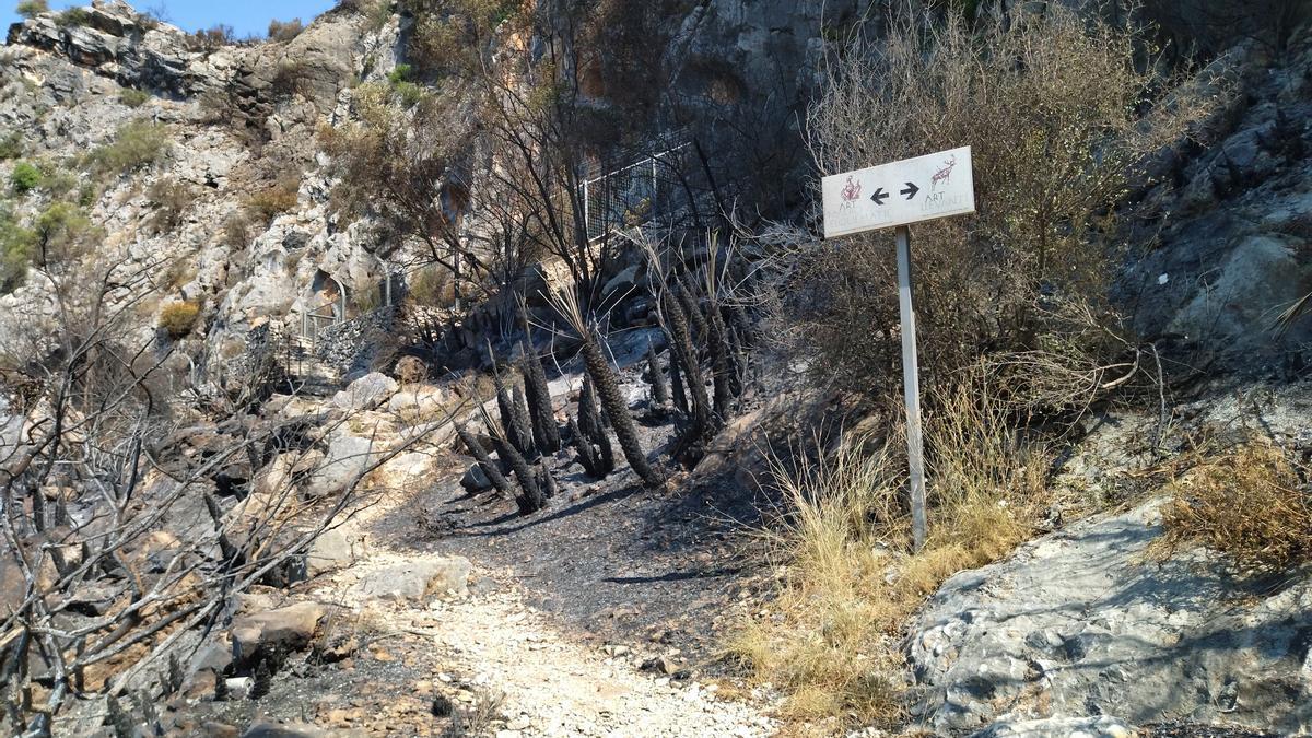 El fuego ha calcinado la vegetación de este abrigo con pinturas neolíticas