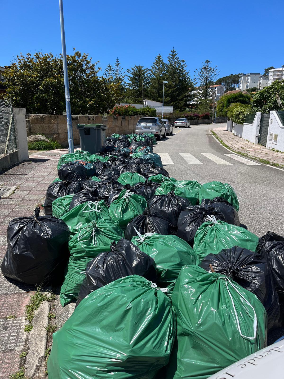 La jornada de voluntariado para eliminar uña de gato en O Grove.