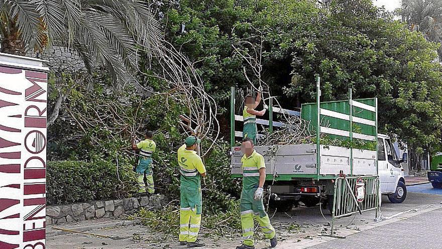 Atasco en la adjudicación del nuevo contrato de zonas verdes