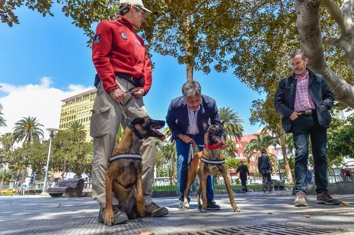 Presentación de la unidad canina para detectar ...