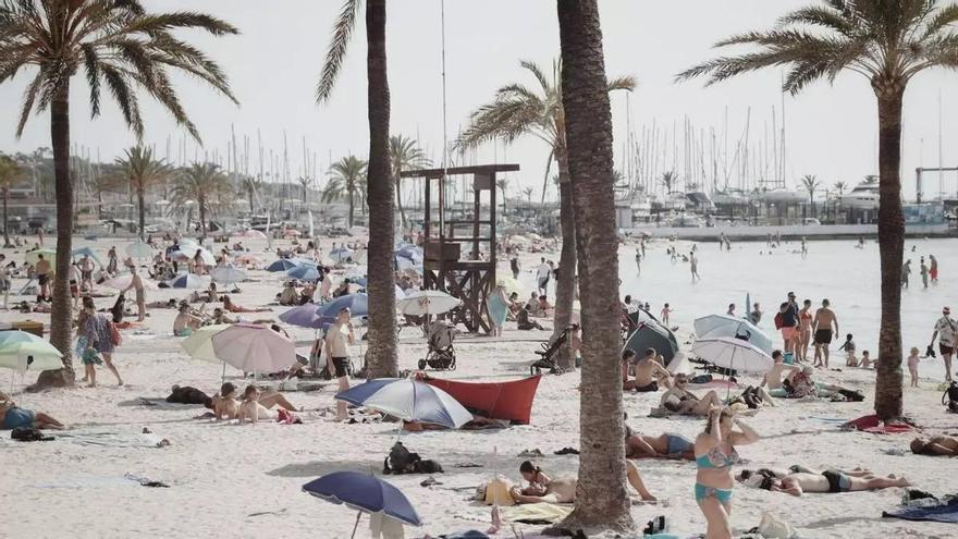 Mit dem Bus entlang der Playa de Palma: Die besten Stopps zwischen Balneario 0 und 6