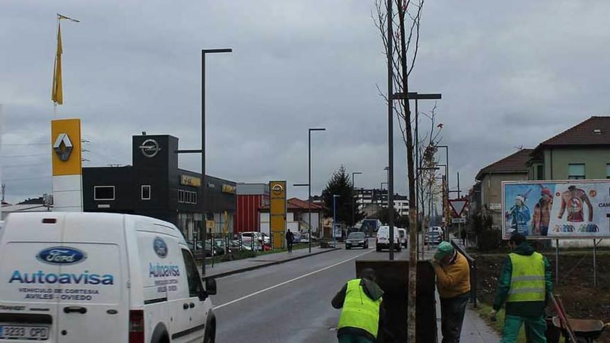 Plantan 28 árboles en la avenida de Oviedo de Lugones