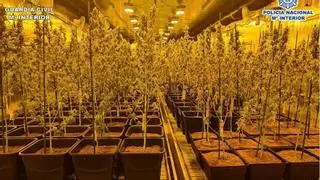 Cae en Alicante, Elche y Crevillent una red de narcos que enviaba la droga a Serbia