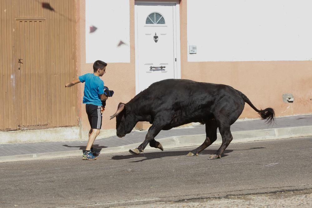 Encierro Urbano Bóveda de Toro