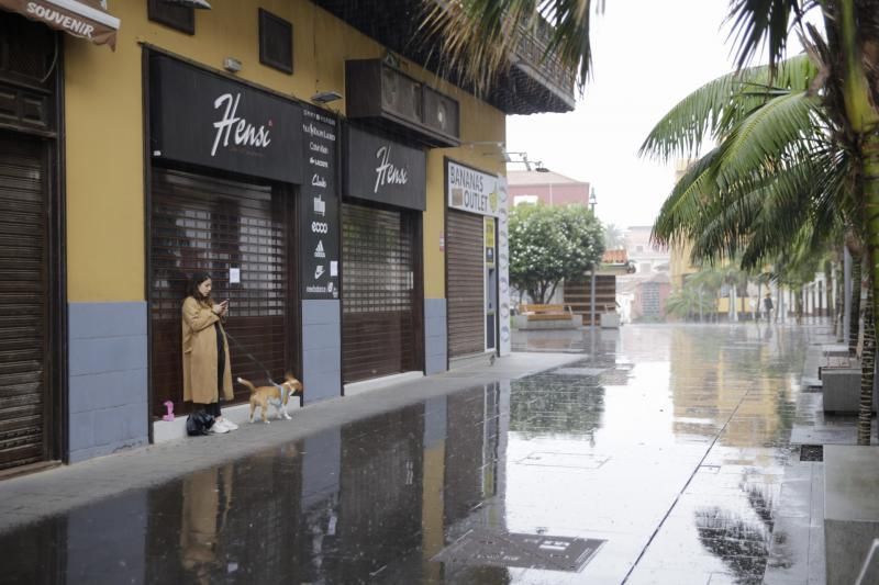 Recorrido por el Puerto de la Cruz  | 19/03/2020 | Fotógrafo: Delia Padrón