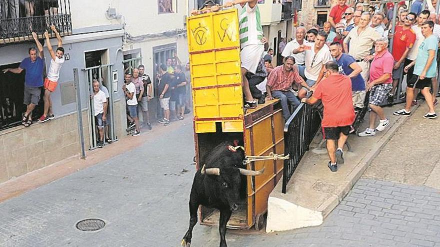 La programación taurina anima las fiestas a los vecinos de les Useres