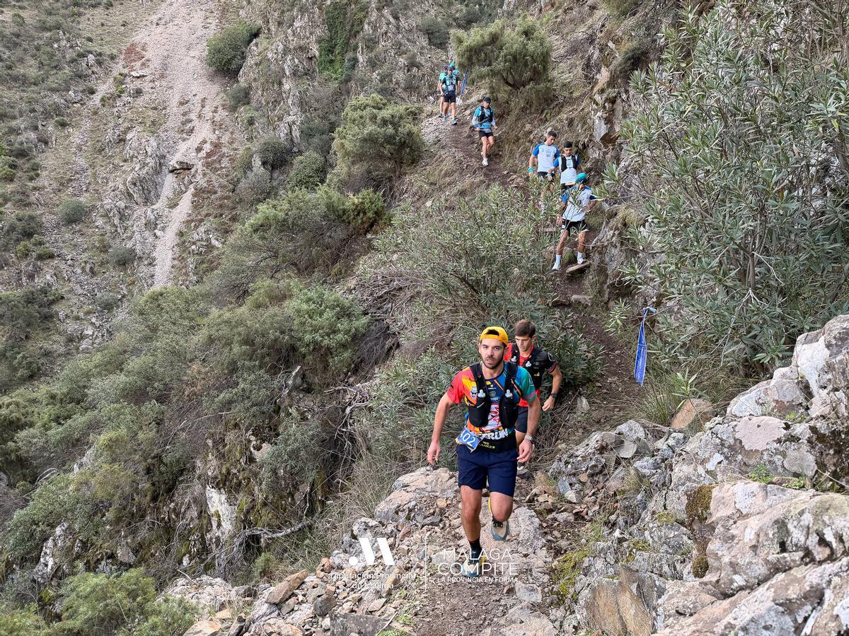 Imagen de la prueba.