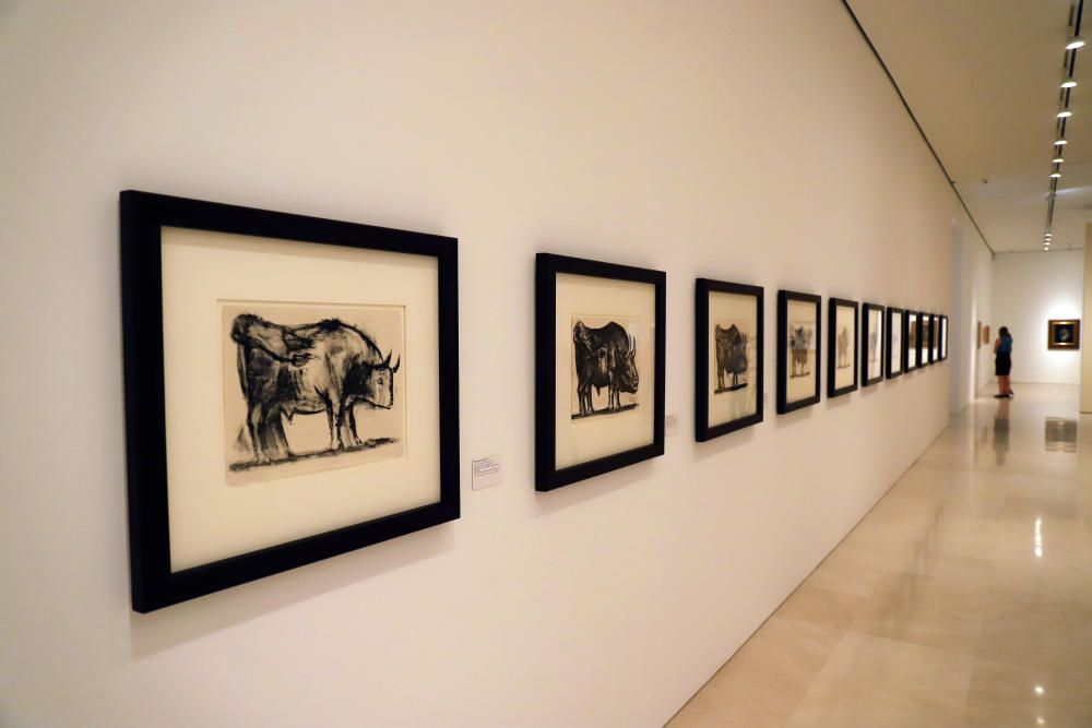 'El sur de Picasso. Referencias andaluzas', nueva temporal del Museo Picasso Málaga