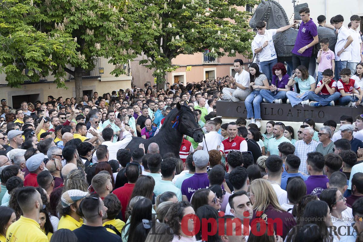 Fiestas de Caravaca | Entrega de premios del concurso morfológico