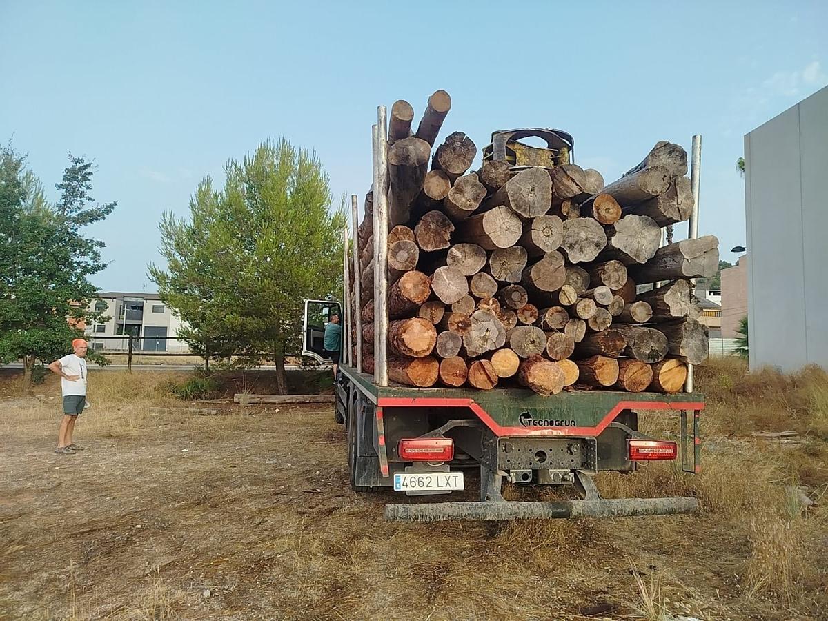Un camión transporta los troncos que descenderán el Xúquer este sábado.
