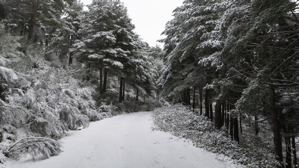 Nieve en Hervás.