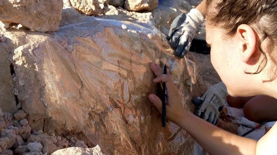 Hallan en la Pobla de Ifach de Calp dos grafitos de gran valor arqueológico