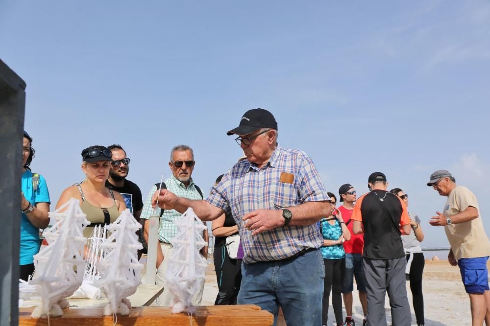 Jornada medioambiental para conocer la artesanía salinera y el parque natural en Torrevieja. Se realizó una demostración de artesanía de barcos cuajados en sal y se liberó a un buho chico en la zona d