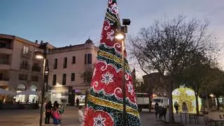 Los árboles navideños, ya instalados en Plasencia