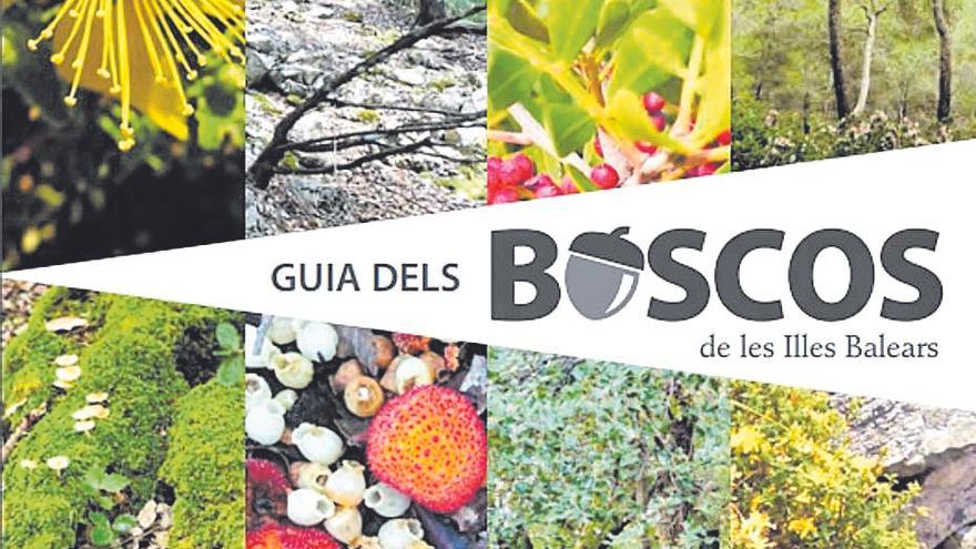 Red Forestal publica la tercera edición de la Guía de los bosques de Baleares