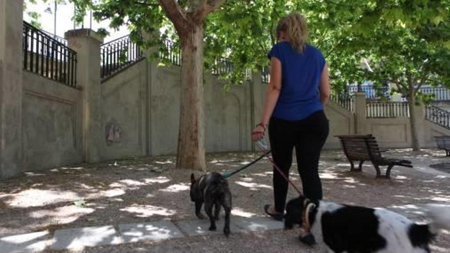 Imagen de archivo de una mujer paseando a sus perros.