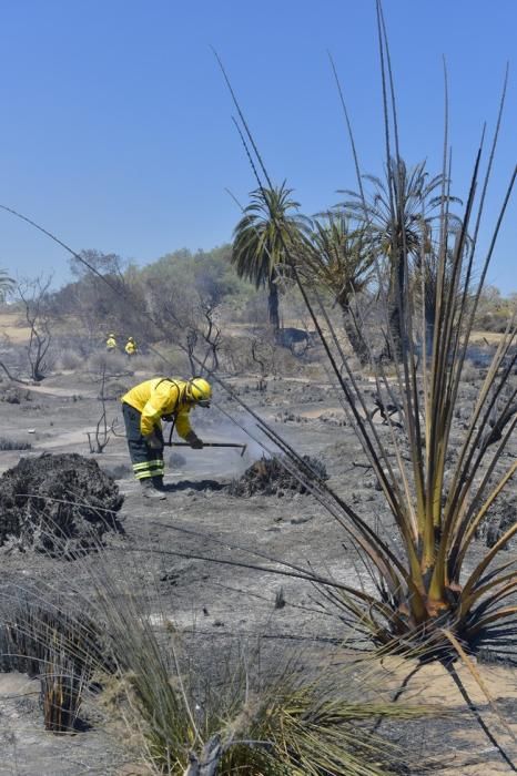 Incendio en la zona de las dunas de Maspalomas