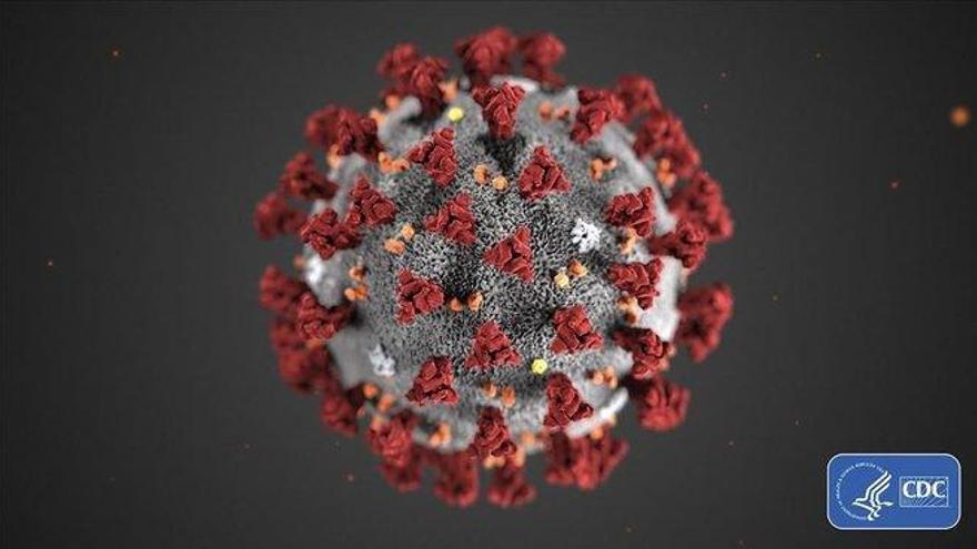 Un grupo de científicos publica un mapa molecular del coronavirus