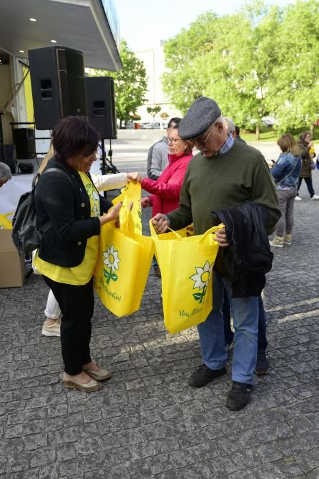 Chorizos para el cierre de campaña de Alternativa