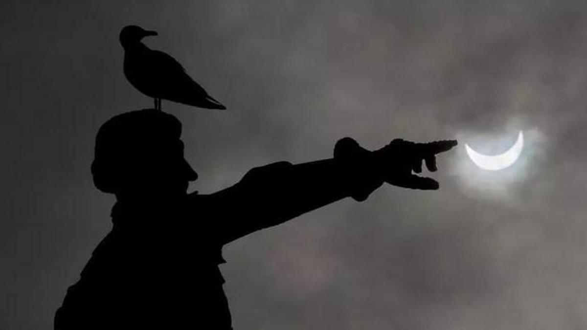 Ein Vogel bei einer teilweise Sonnenfinsternis in Portugal